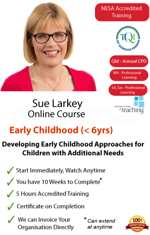 Developing Early Childhood Approaches for Children with Additional Needs